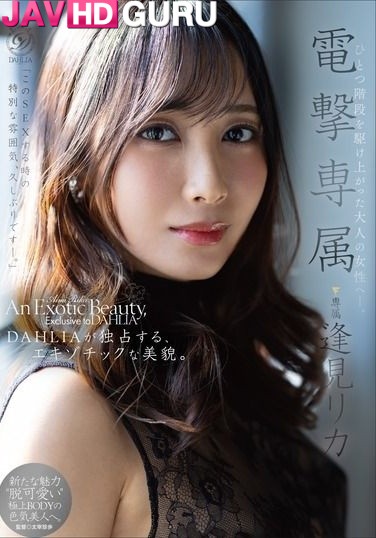DLDSS-517